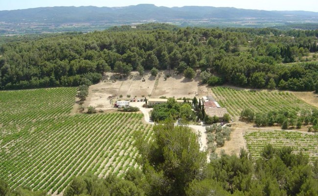 Photo séjour Détente au cœur des vignes