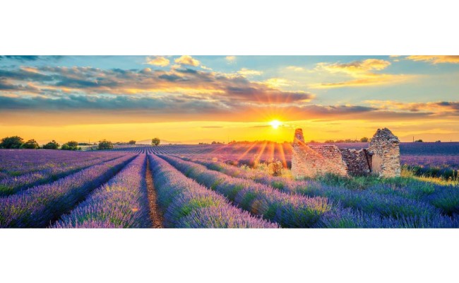 Photo séjour Détente au cœur des vignes