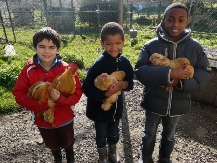 Photo séjour Animaux & Cie