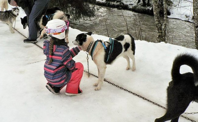 Photo séjour Ski Neige & chiens de traineaux