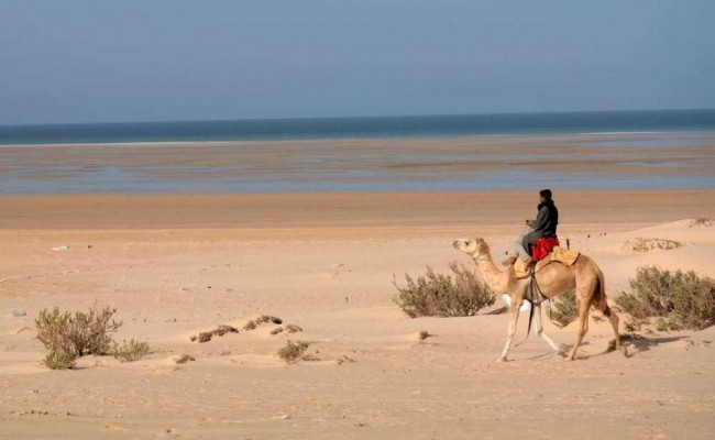 Photo séjour Entre Océan et Désert