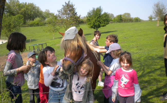 Photo séjour Au galop !