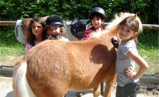 Photo séjour Au galop !